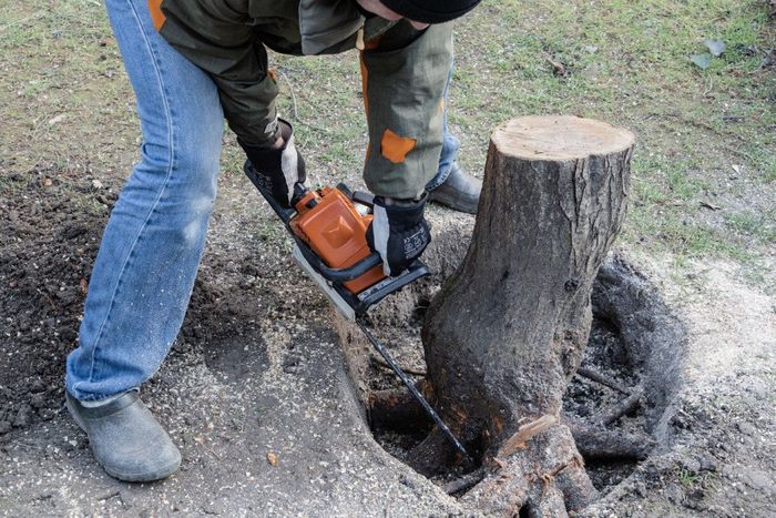 Person using a chainsaw to cut a tree stump in an outdoor setting.