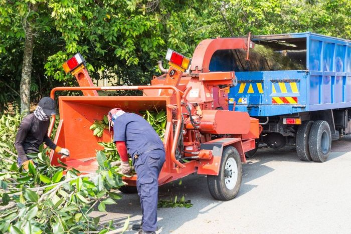Two workers feed tree branches into a wood chipper; truck bed is attached to the machine.