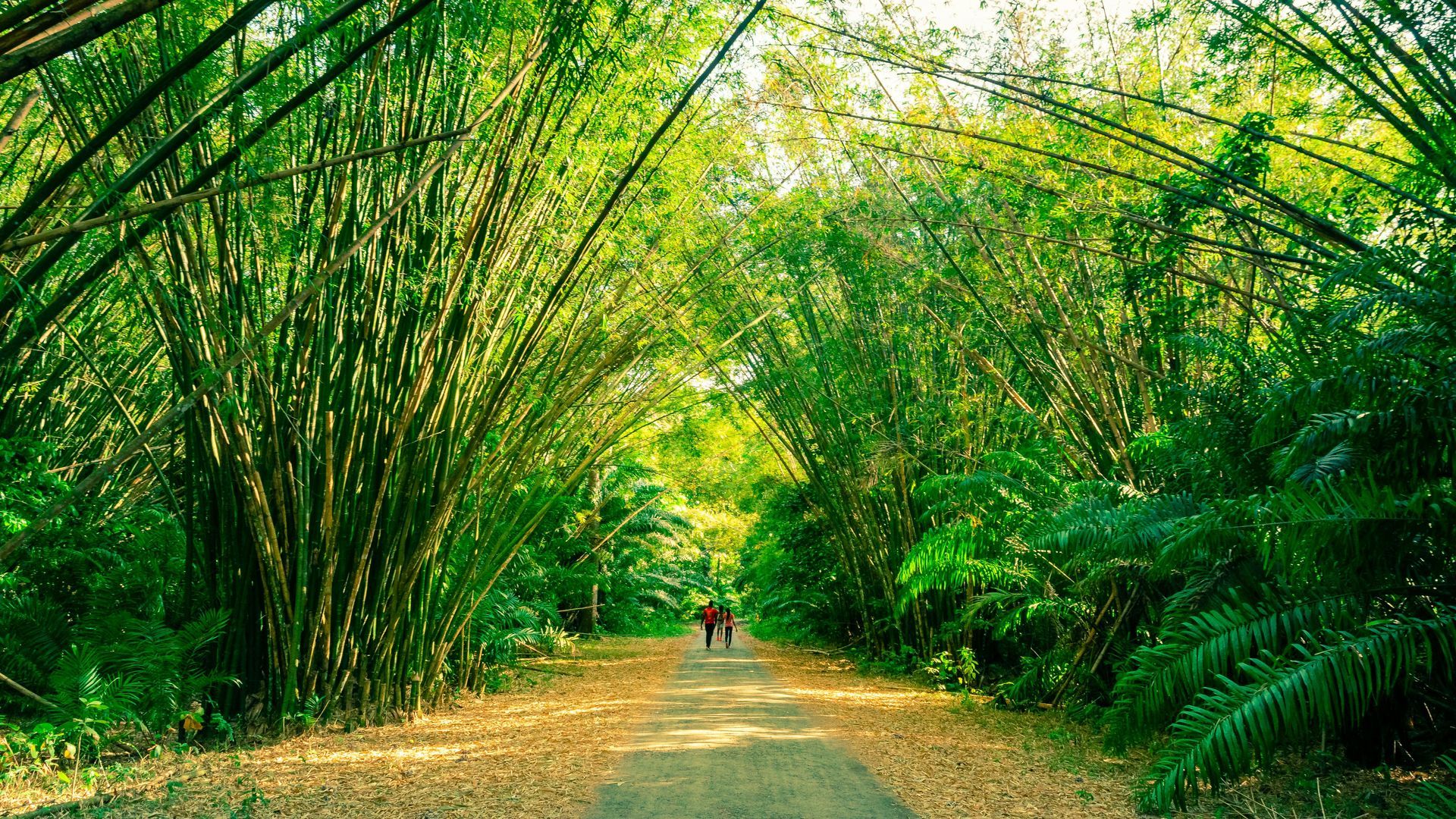 Adult Only All Inclusive Resorts in Tobago