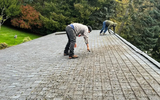 Roofers removing moss buildup from gray asphalt shingle roof