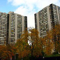 Two tall buildings are surrounded by trees on a sunny day.