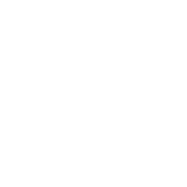 The Nail Studio