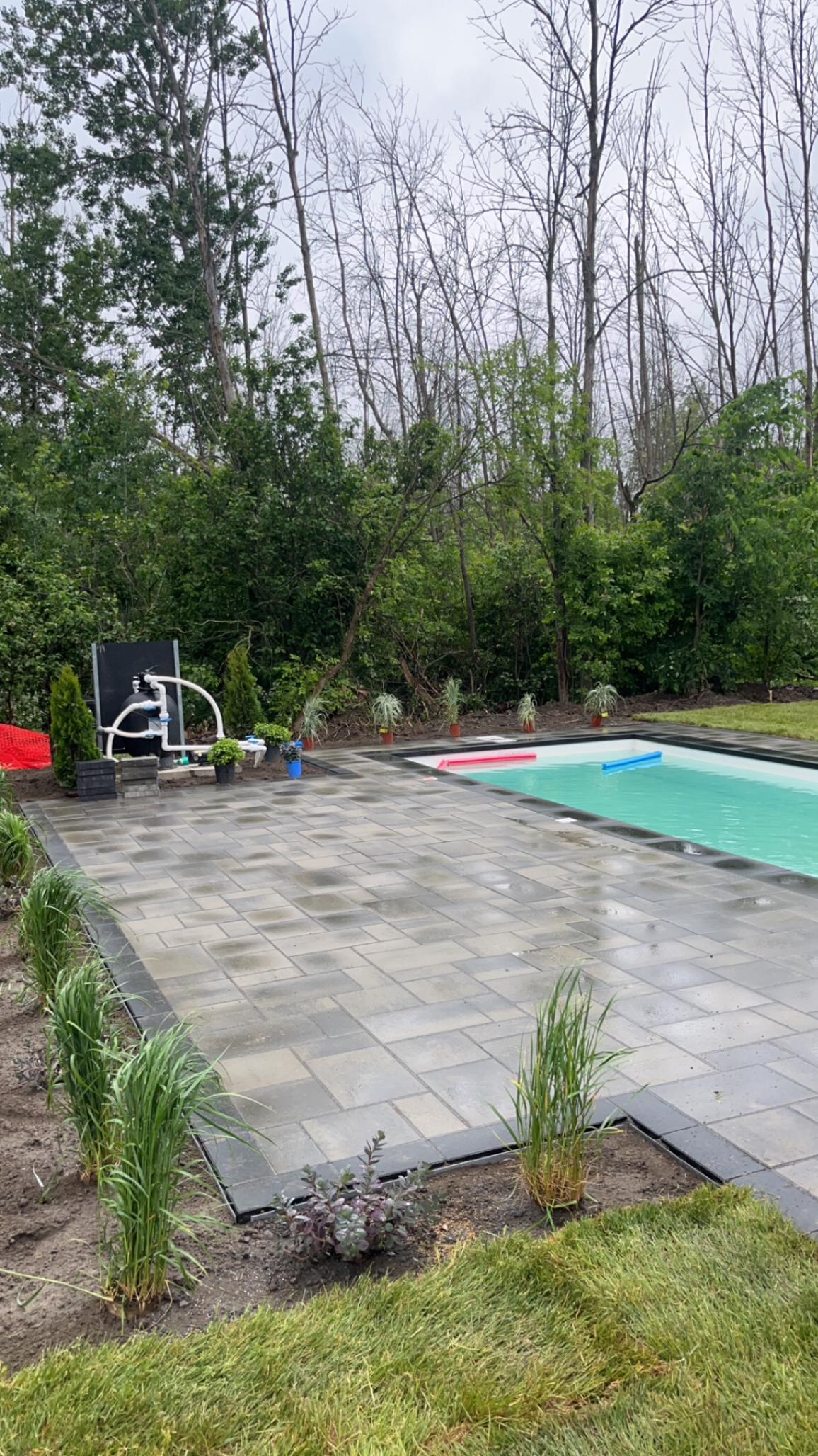 Il y a une grande piscine dans l'arrière-cour entourée d'arbres.