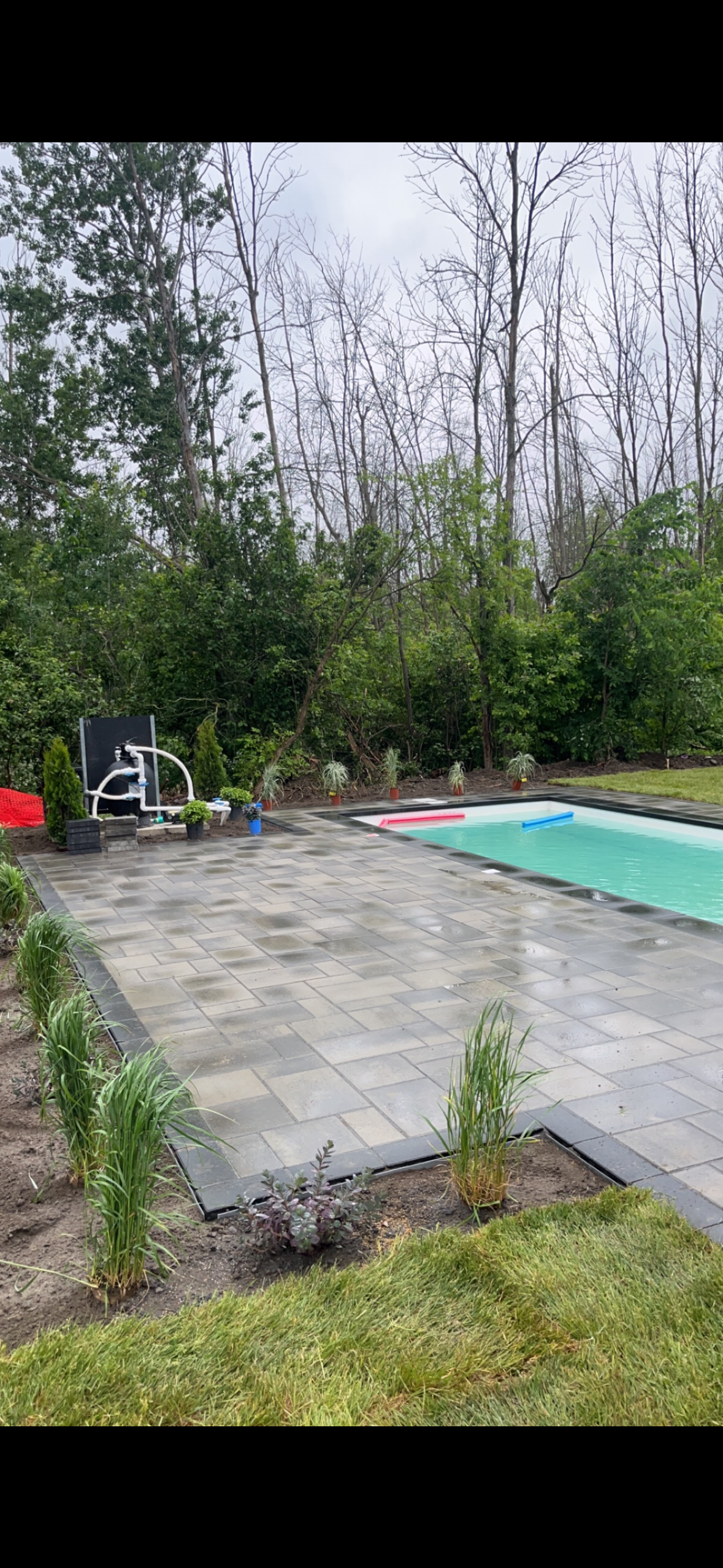Il y a une grande piscine dans l'arrière-cour entourée d'arbres.