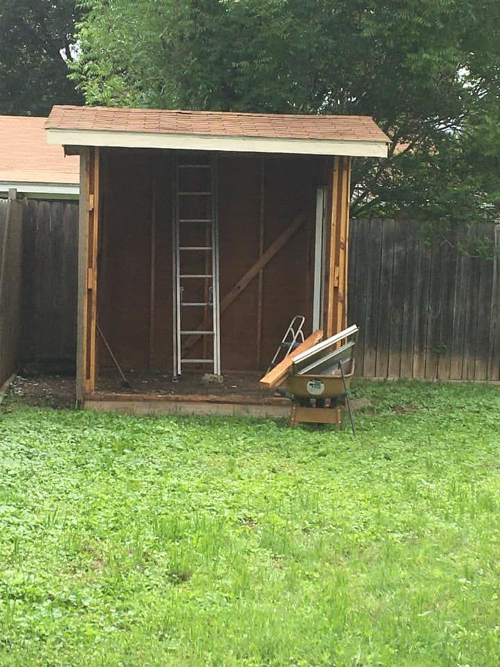 A shed is being built in a backyard with a ladder.