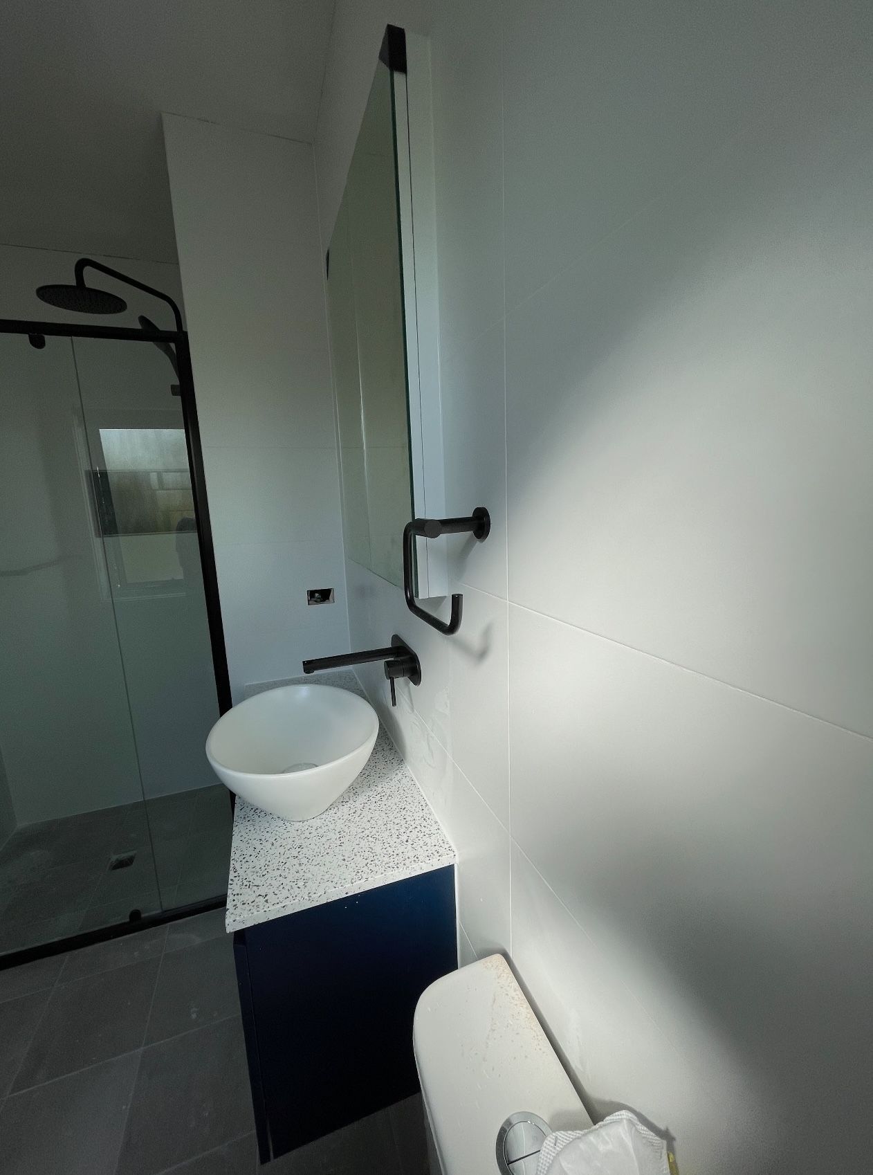 A bathroom with a sink , toilet and shower.