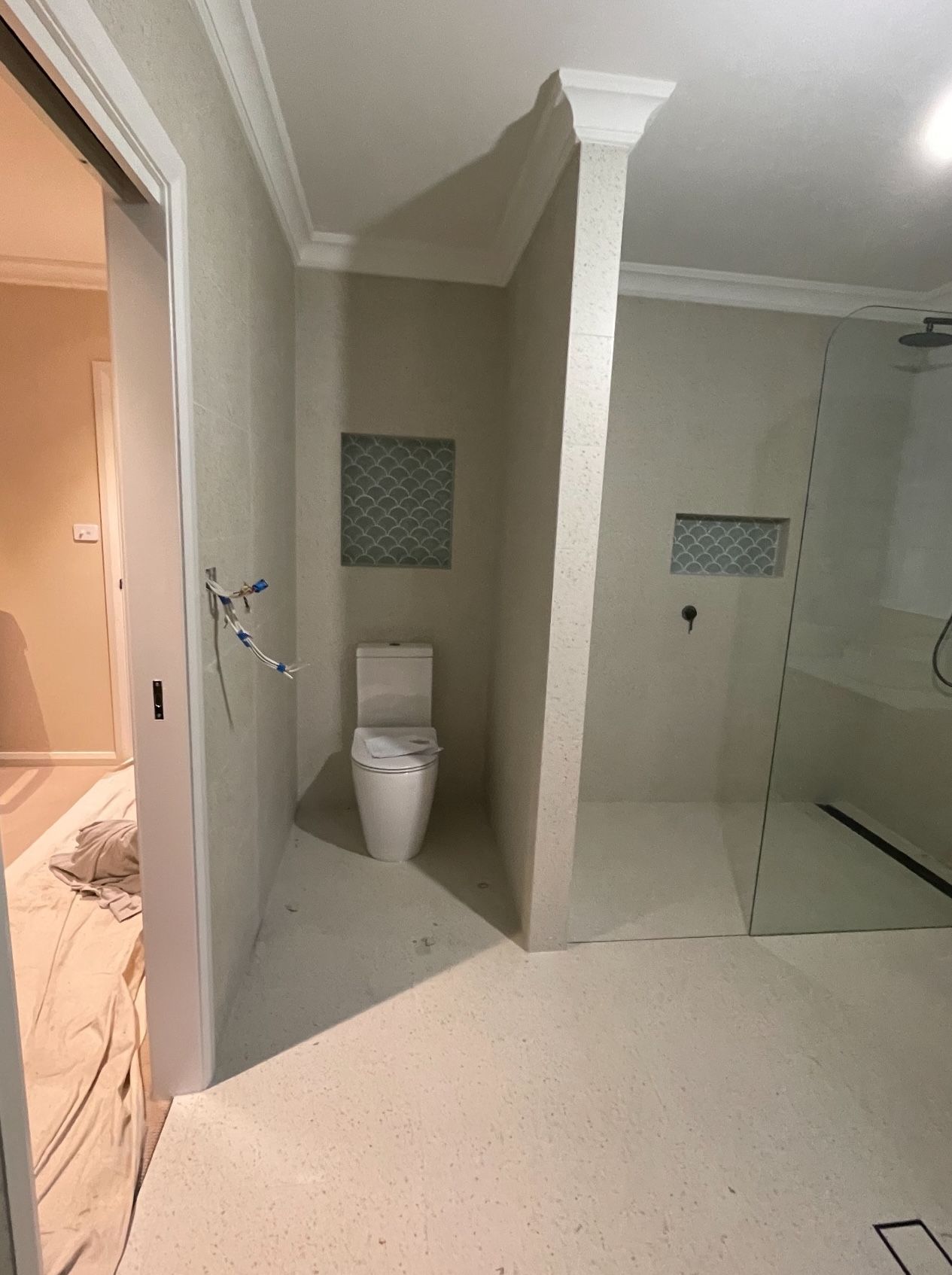 A bathroom with a toilet and a walk in shower.