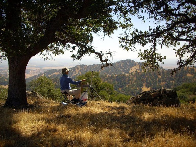 A man sits under a tree in a field with mountains in the background