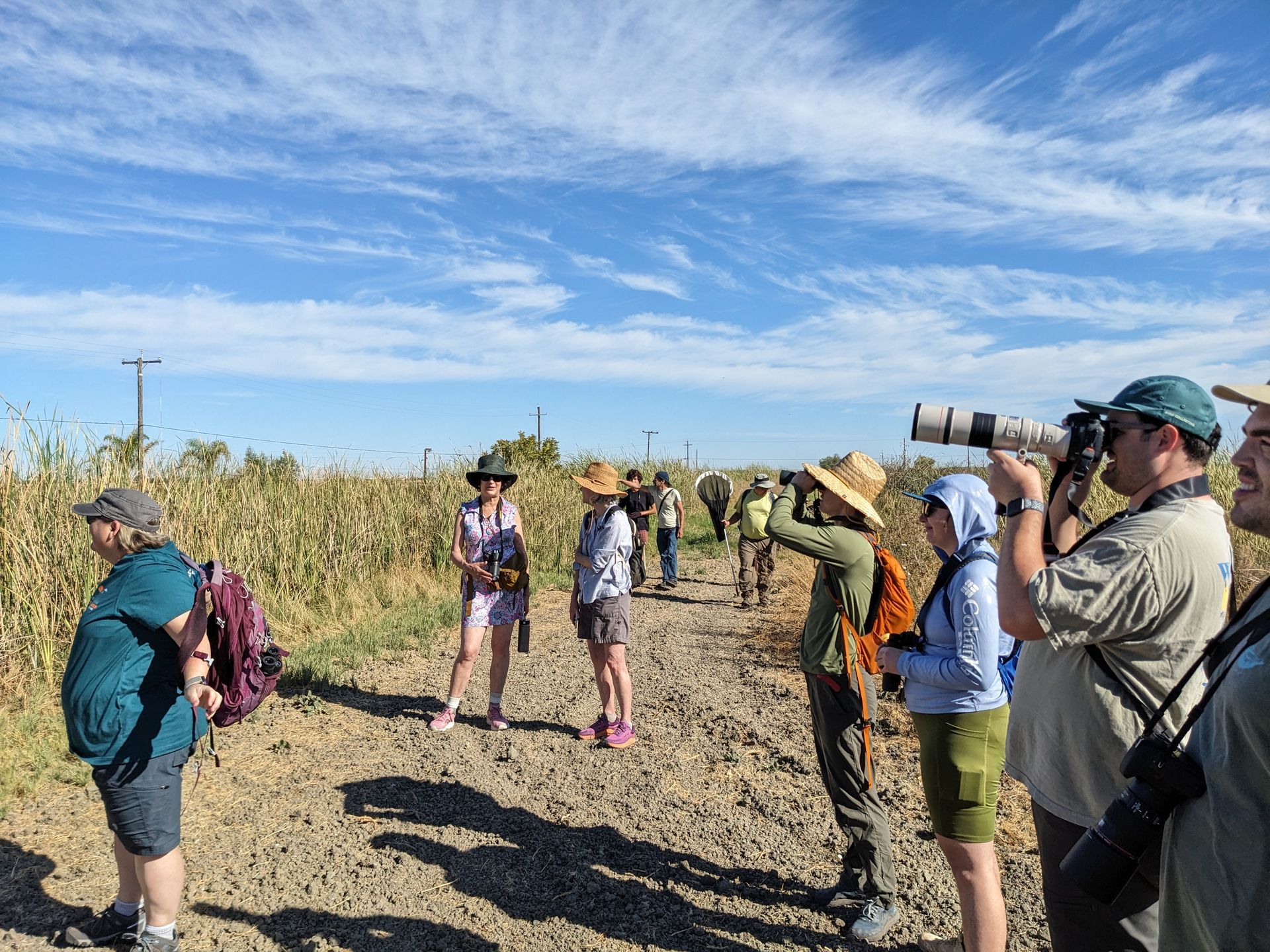 Photo of people taking pictures of wildlife