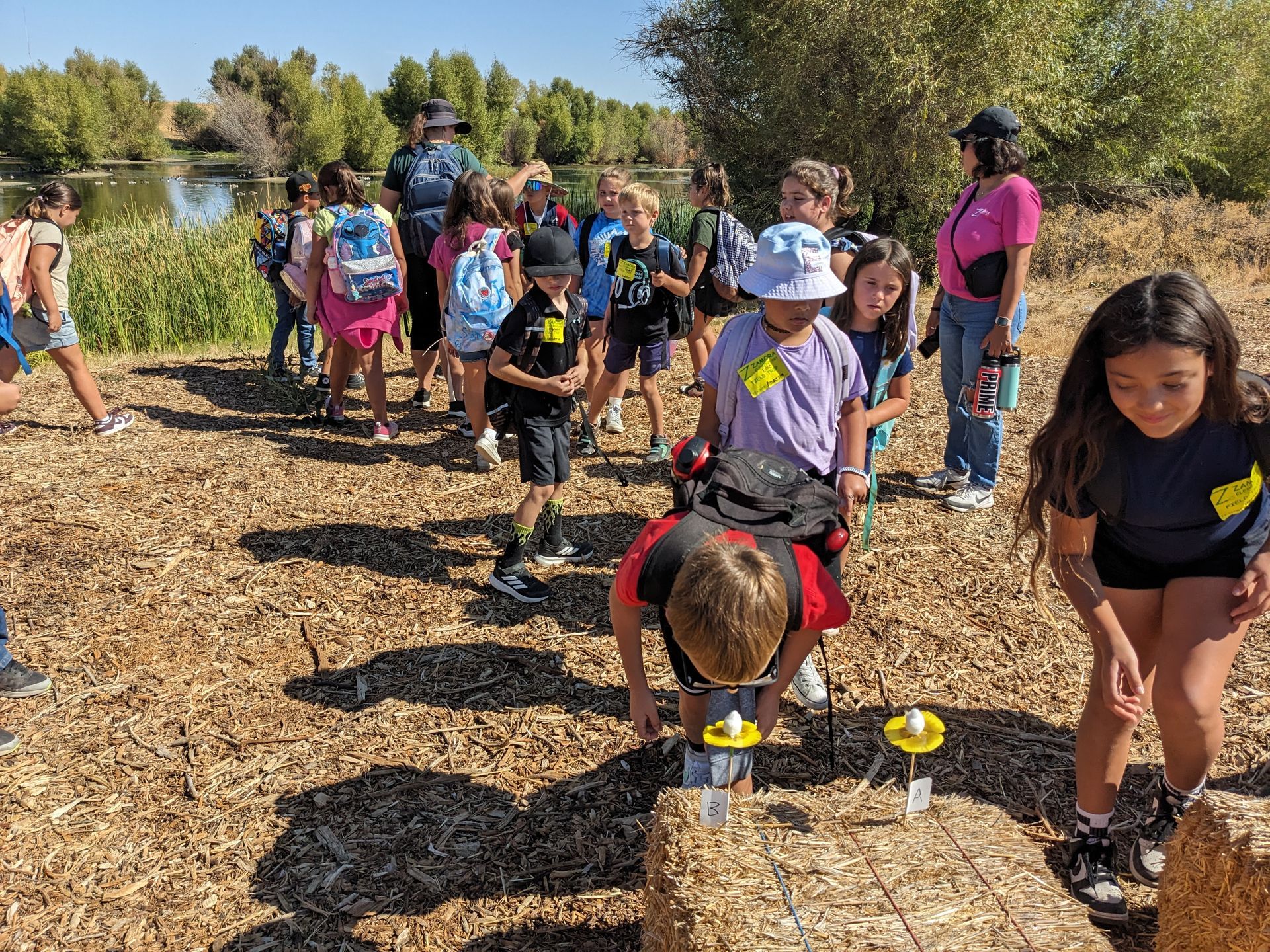 3rd graders smelling artificial flowers