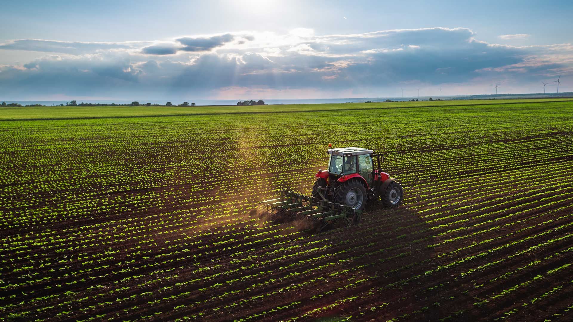 Tractor working in a vast green field under a cloudy sky at sunset