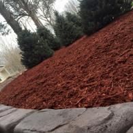 Mulched landscaped slope with evergreen shrubs and a stone retaining wall