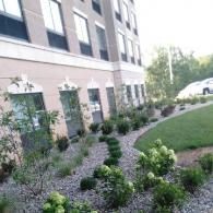 Landscaped garden beside a brick building with shrubs, gravel beds, and a curved lawn.