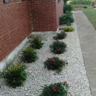 Small landscaped bed with white gravel and low green shrubs along a brick house wall and sidewalk
