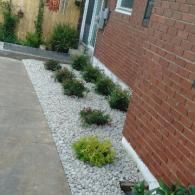 White gravel garden bed with small shrubs beside a brick wall and concrete walkway