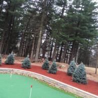 Pine trees and small evergreens beside a green putting surface with red mulch edging
