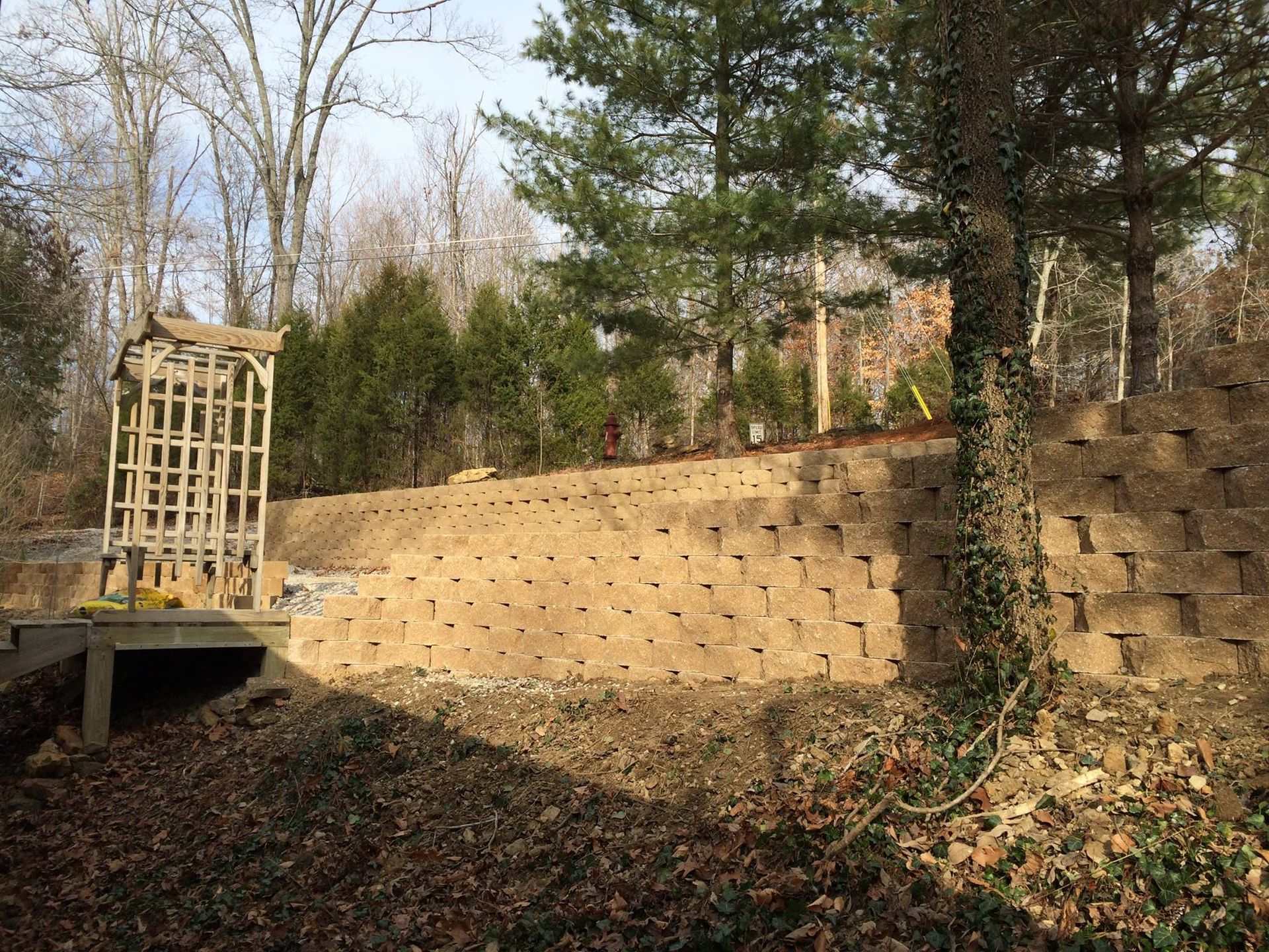 Wooded hillside with terraced stone retaining wall and a small wooden structure on the left