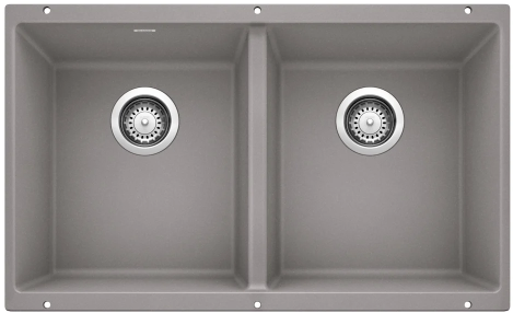 Double-basin gray kitchen sink with two drain holes.