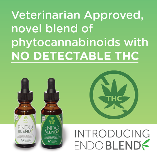 Endo blend is a veterinarian approved novel blend of phytocannabinoids with no detectable thc.
