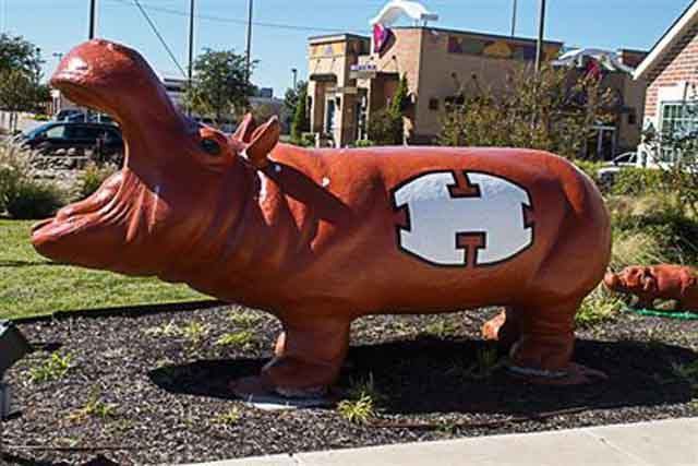 Downtown Hutto, TX with Stetson Property Management local expertise.