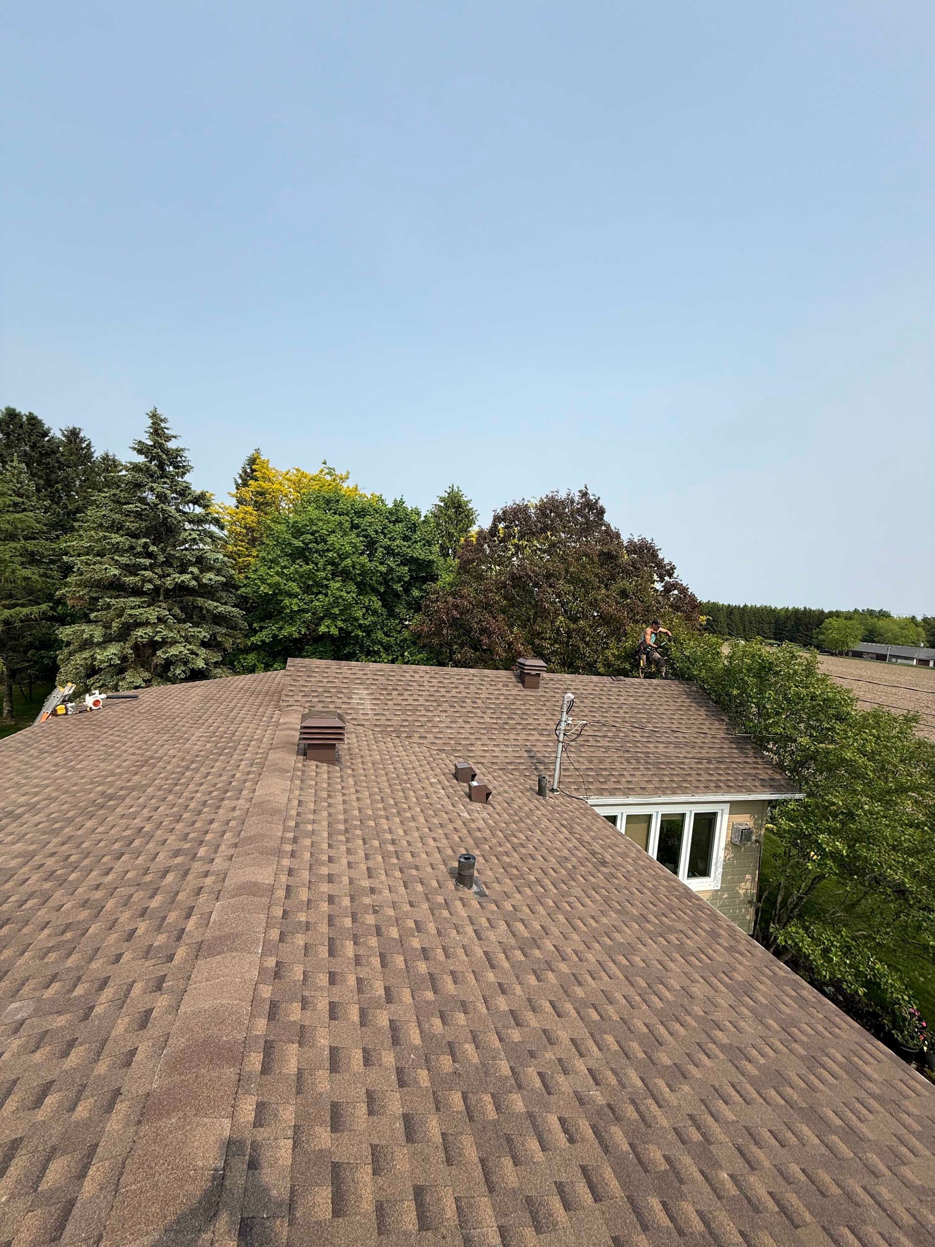 Toit en bardeaux bruns avec de multiples aérations, arbres en arrière-plan, ciel bleu.