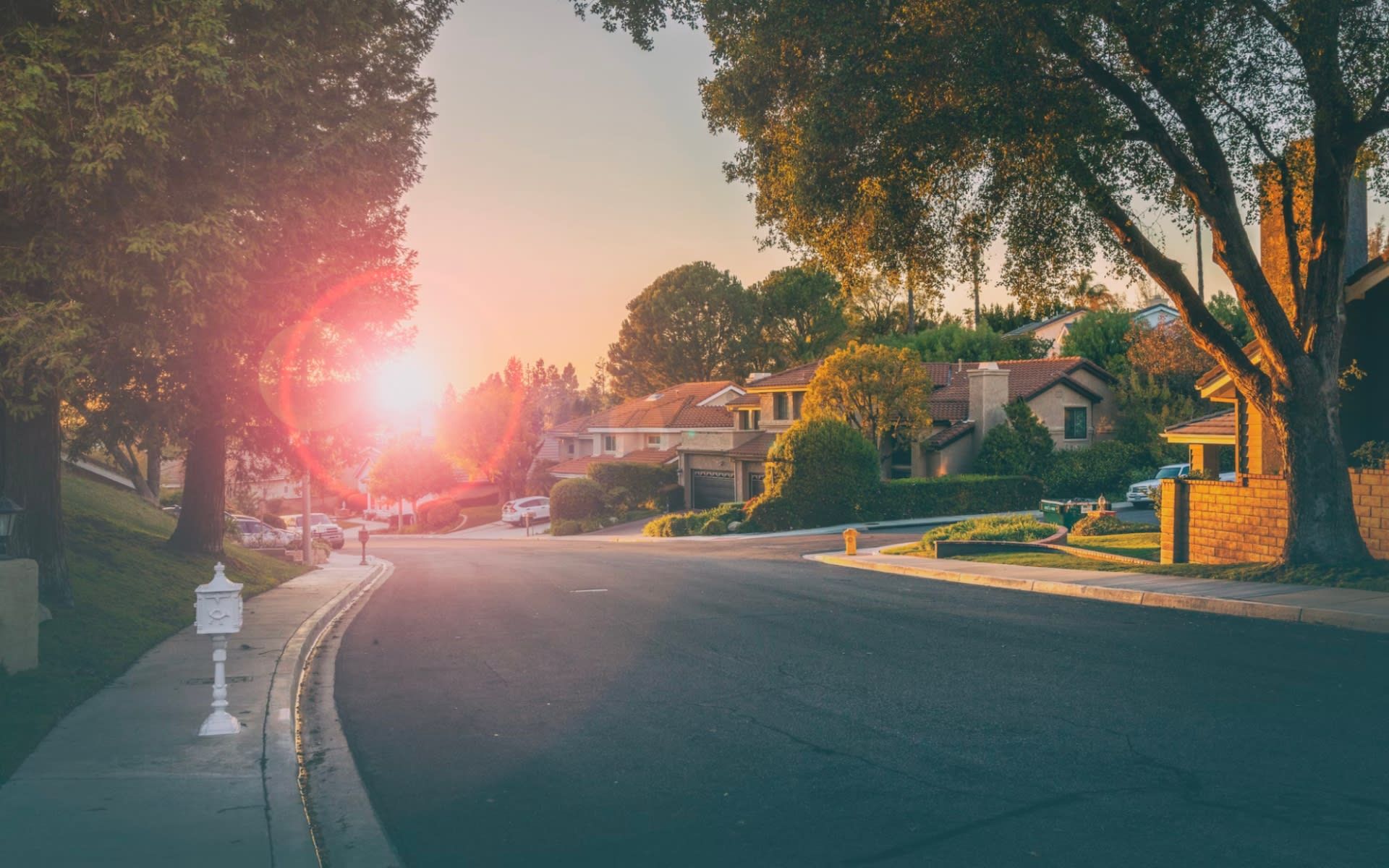 The sun is shining through the trees on a residential street at sunset.