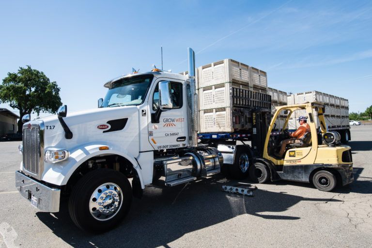White semi-truck with crates being loaded by a forklift in a sunny outdoor area.