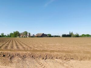 Plowed farm field with furrows leading to a distant farm building and trees under a blue sky.