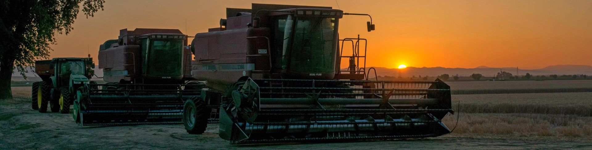 Combines harvest crops during sunset.