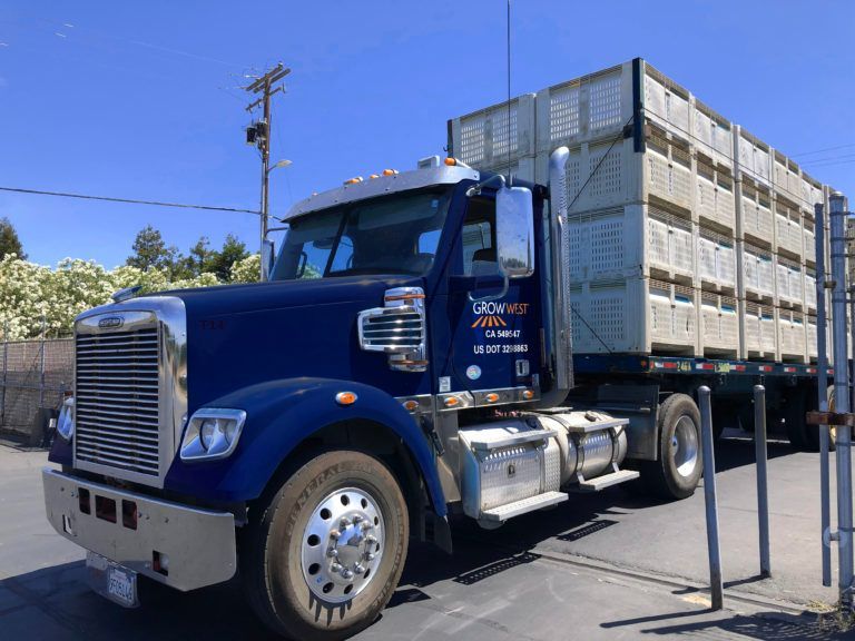 Blue semi-truck loaded with stacked white bins, parked on pavement, sunny day.