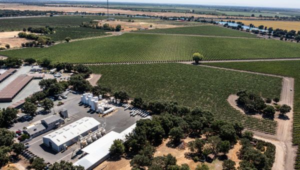 Growing Together – Summer 2022