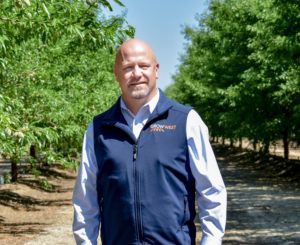 Bald man in blue vest, standing outdoors in an orchard.