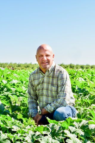 Man in a plaid shirt kneels in a field of green plants under a clear blue sky.