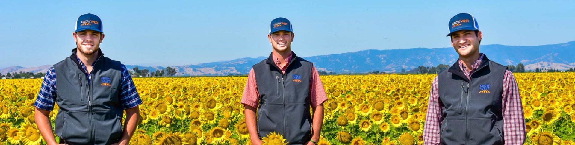 Three people in vests and caps stand in a field of sunflowers under a blue sky.