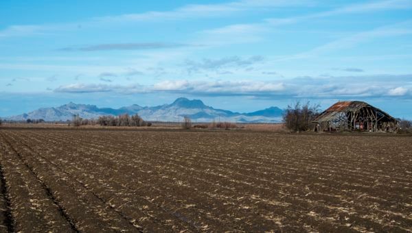 Growing Together – Winter 2020