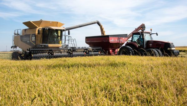 Growing Together – Fall 2019