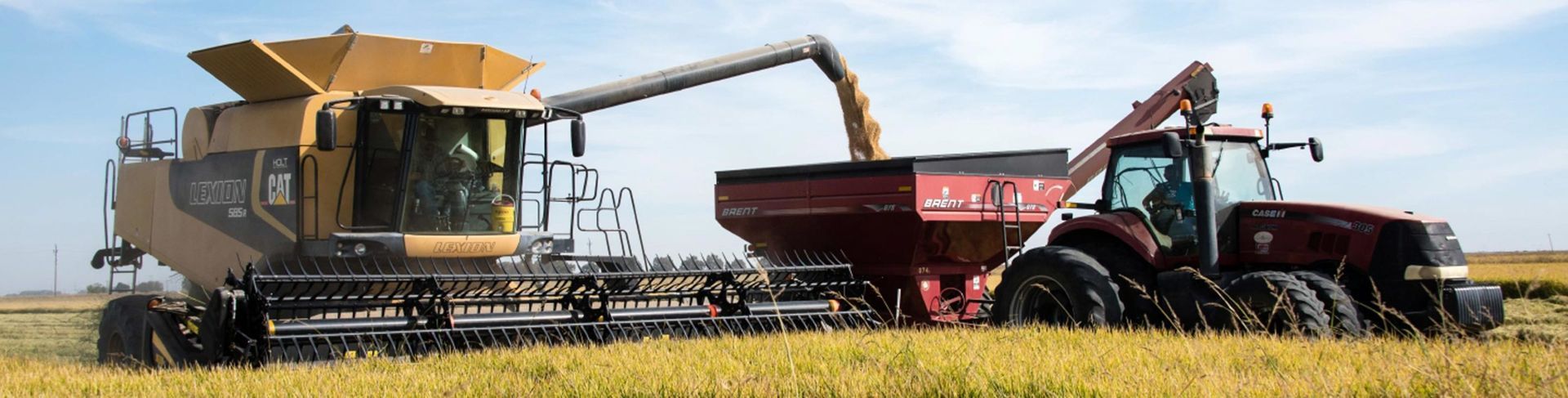 A combine harvester pouring grain into a tractor-pulled grain cart in a field of wheat.