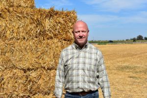 Man stands in front of a stack of hay bales, wearing a plaid shirt. Sunny, outdoor setting.