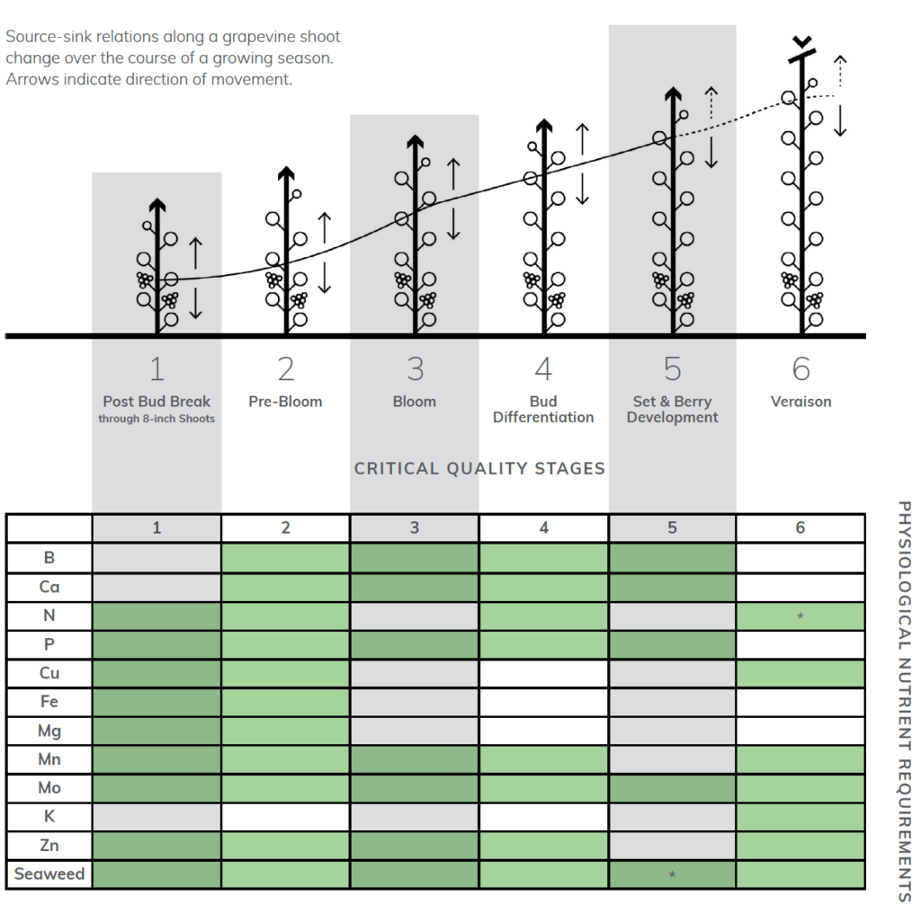Diagram of plant growth stages with associated nutrient requirements.