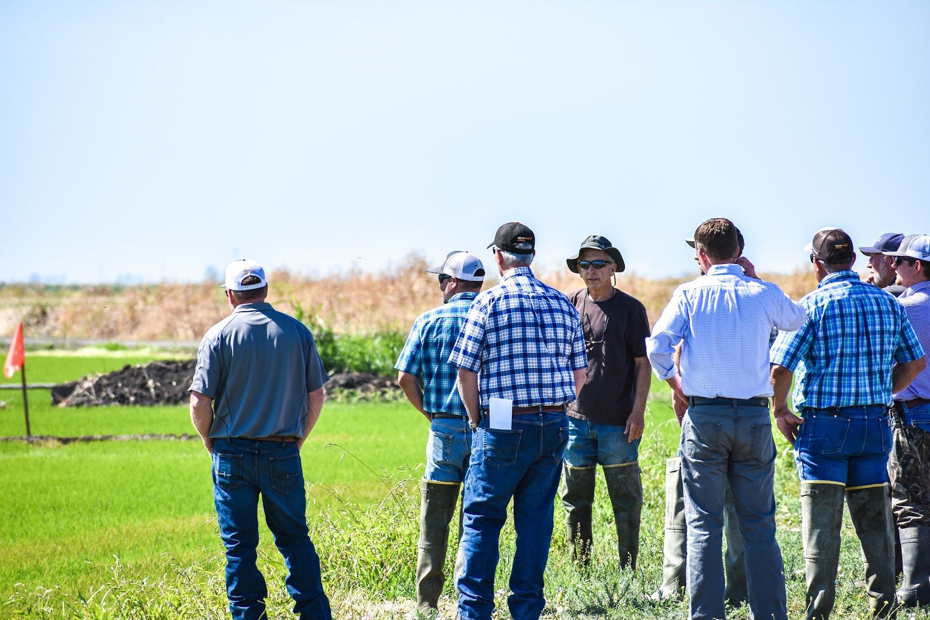 Technical Service Teams