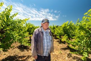 Man standing in a vineyard, wearing a blue cap and jacket, with green vines and blue sky.