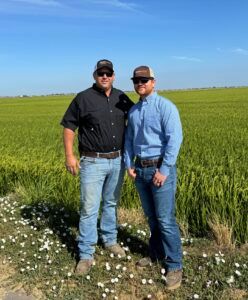 Two men standing in a field of green plants under a blue sky, wearing hats and jeans.