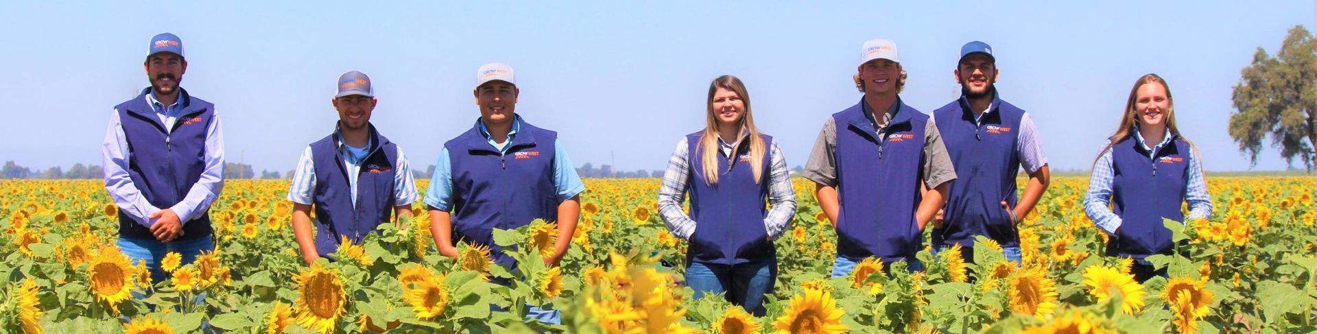Seven people stand in a field of sunflowers wearing blue vests and baseball caps, smiling at the camera.