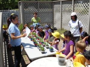 Children at outdoor planting lesson with an instructor, surrounded by plants.
