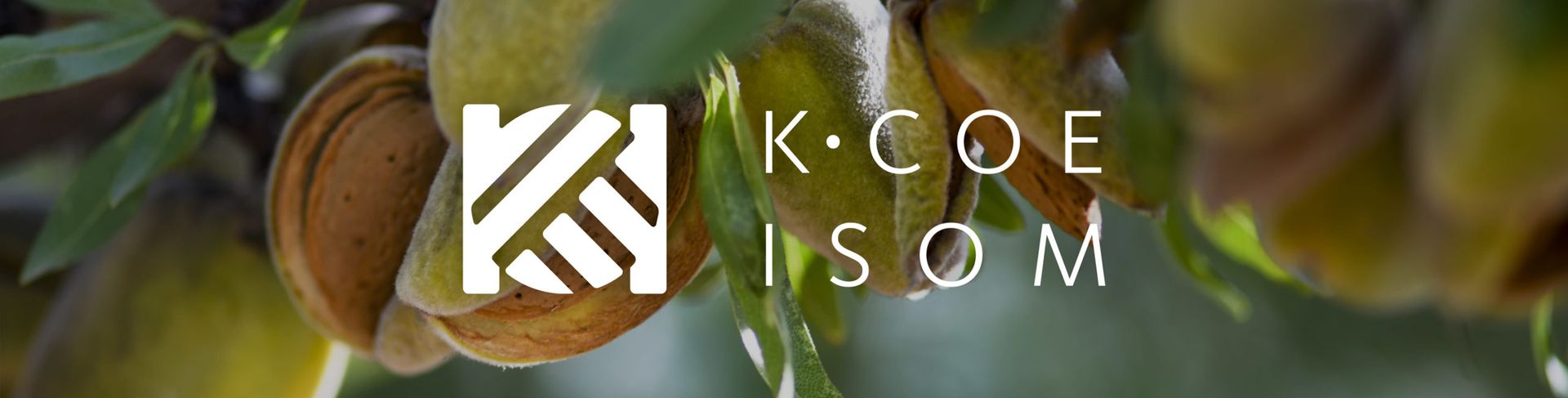 Logo of K.COE ISOM superimposed on almonds in their shells.