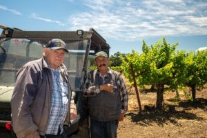 Two men stand near a utility vehicle in a vineyard under a blue sky; one man points toward the vines.