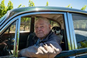 Elderly man and dog in vintage car, smiling, with vineyard background.