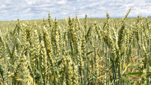 Growing Together – Summer 2023