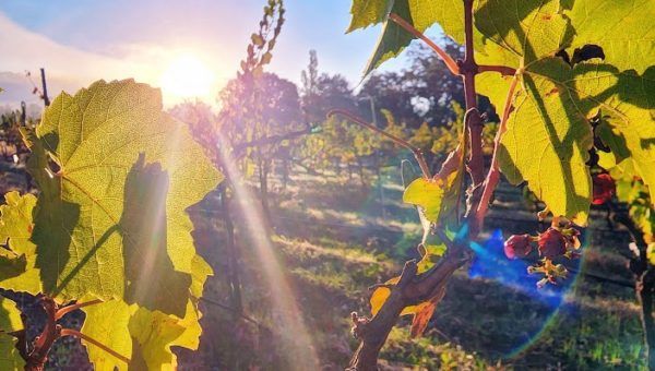 Growing Together – Winter 2023