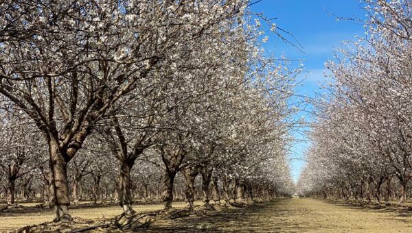 Growing Together – Spring 2023